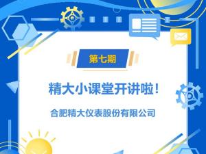 小微系列橢圓齒輪流量計簡介