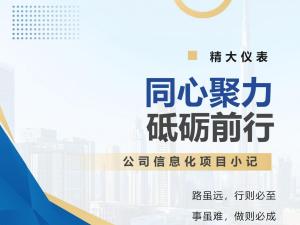 同心聚力 砥礪前行——公司信息化項目小記